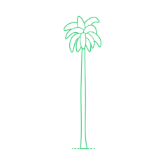 Plants Palms Royal Palm Contour Svg Vector, Free Vectors File